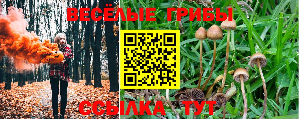 Псилоцибиновые грибы мухоморы  Вход с VPN  Муром 