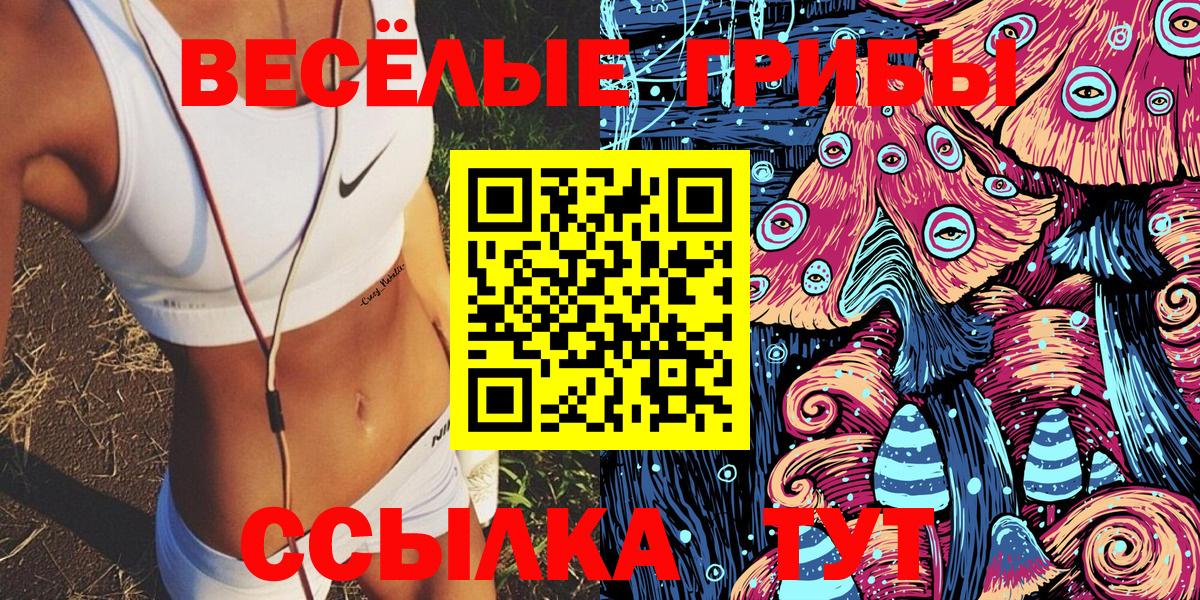 Псилоцибиновые грибы прущие грибы Муром
